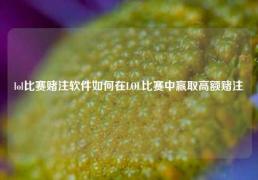 lol比赛赌注软件如何在LOL比赛中赢取高额赌注