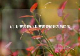 LOL 比赛视频LOL比赛视频的魅力与启示