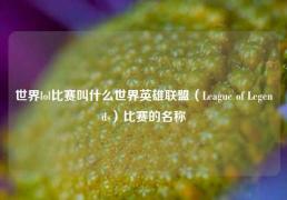 世界lol比赛叫什么世界英雄联盟（League of Legends）比赛的名称
