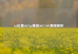 lol比赛2017lpl赛程2017 LPL赛程解析