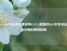 cctv5lol亚运会比赛视频CCTV-5直播的2023年亚洲运动会精彩瞬间回顾