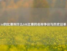 lol的比赛叫什么LOL比赛的名称争议与历史沿革