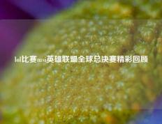 lol比赛msi英雄联盟全球总决赛精彩回顾