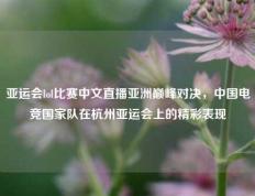 亚运会lol比赛中文直播亚洲巅峰对决，中国电竞国家队在杭州亚运会上的精彩表现