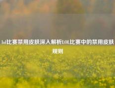 lol比赛禁用皮肤深入解析LOL比赛中的禁用皮肤规则