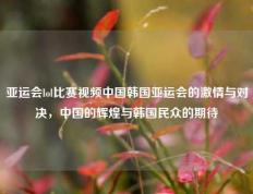 亚运会lol比赛视频中国韩国亚运会的激情与对决，中国的辉煌与韩国民众的期待