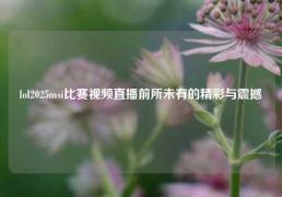 lol2025msi比赛视频直播前所未有的精彩与震撼