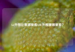 lol外围比赛哪里看LOL外围赛哪里看？