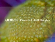 ig比赛lolThe Ultimate Clash of LOL Champions