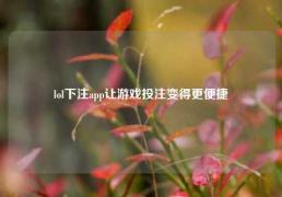 lol下注app让游戏投注变得更便捷