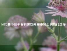 lol比赛下注平台有哪些揭秘市场上的热门选择