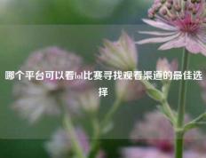 哪个平台可以看lol比赛寻找观看渠道的最佳选择