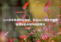 lol人民币竞猜网站揭秘，非法LOL人民币竞猜网站背后的真相与风险警示