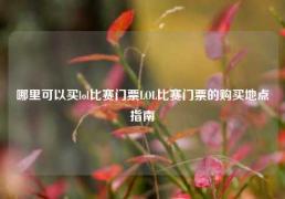哪里可以买lol比赛门票LOL比赛门票的购买地点指南