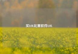 买LOL比赛软件LOL