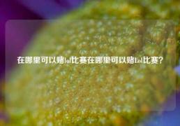 在哪里可以赌lol比赛在哪里可以赌Lol比赛？