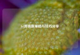 lol竞猜赢策略与技巧分享