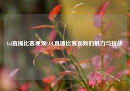 lol直播比赛视频LOL直播比赛视频的魅力与挑战