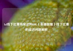 lol线下比赛有延迟吗LOL（英雄联盟）线下比赛的延迟问题解析