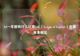 lol一年都有什么比赛LOL（League of Legends）年度赛事概览