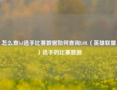 怎么查lol选手比赛数据如何查询LOL（英雄联盟）选手的比赛数据