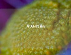今天lol比赛ig
