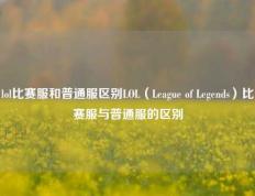 lol比赛服和普通服区别LOL（League of Legends）比赛服与普通服的区别