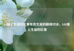 lol赌上生涯的比赛电竞生涯的巅峰对决，LOL赌上生涯的比赛