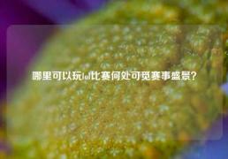 哪里可以玩lol比赛何处可觅赛事盛景？