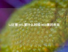 lol比赛2025s赛什么时候2025S赛的未来