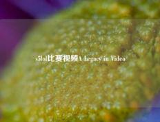 s5lol比赛视频A Legacy in Video