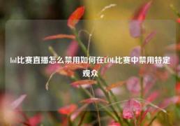 lol比赛直播怎么禁用如何在LOL比赛中禁用特定观众