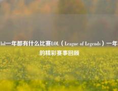 lol一年都有什么比赛LOL（League of Legends）一年的精彩赛事回顾