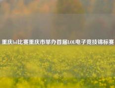 重庆lol比赛重庆市举办首届LOL电子竞技锦标赛