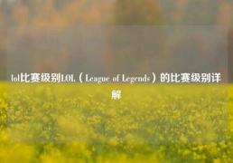 lol比赛级别LOL（League of Legends）的比赛级别详解