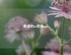靠谱的lol竞猜app