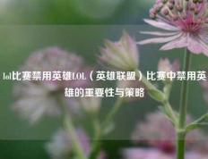 lol比赛禁用英雄LOL（英雄联盟）比赛中禁用英雄的重要性与策略