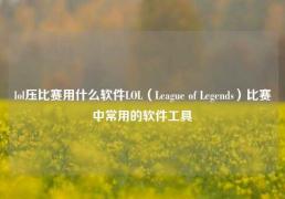lol压比赛用什么软件LOL（League of Legends）比赛中常用的软件工具