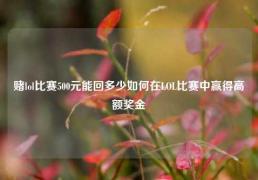 赌lol比赛500元能回多少如何在LOL比赛中赢得高额奖金
