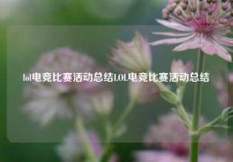 lol电竞比赛活动总结LOL电竞比赛活动总结