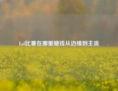 Lol比赛在哪里赌钱从边缘到主流