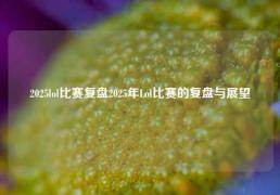 2025lol比赛复盘2025年Lol比赛的复盘与展望