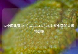lol中国比赛LOL（League of Legends）在中国的火爆与影响