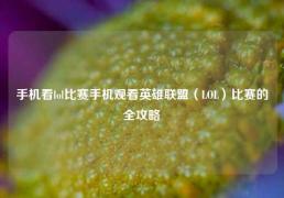 手机看lol比赛手机观看英雄联盟（LOL）比赛的全攻略