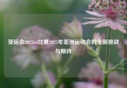 亚运会2025lol比赛2025年亚洲运动会的全新挑战与期待
