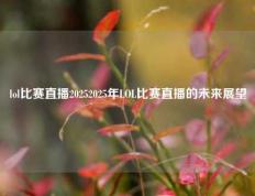 lol比赛直播20252025年LOL比赛直播的未来展望