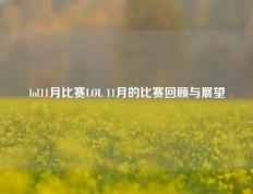 lol11月比赛LOL 11月的比赛回顾与展望