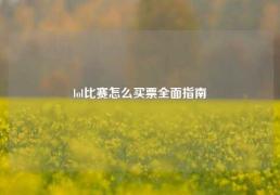 lol比赛怎么买票全面指南