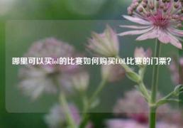 哪里可以买lol的比赛如何购买LOL比赛的门票？