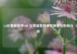 lol比赛服暂停LOL 比赛服暂停事件解析与影响分析